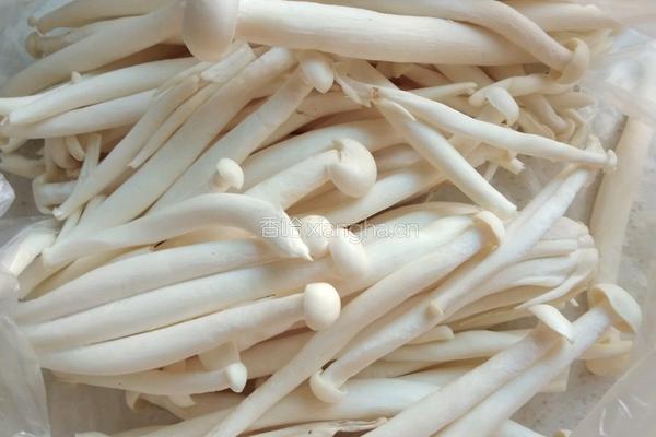 骨头汤的做法图解3