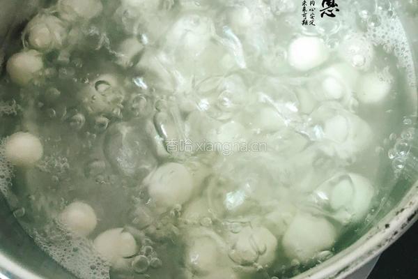 新式手工汤圆（糯米糍）的做法图解9