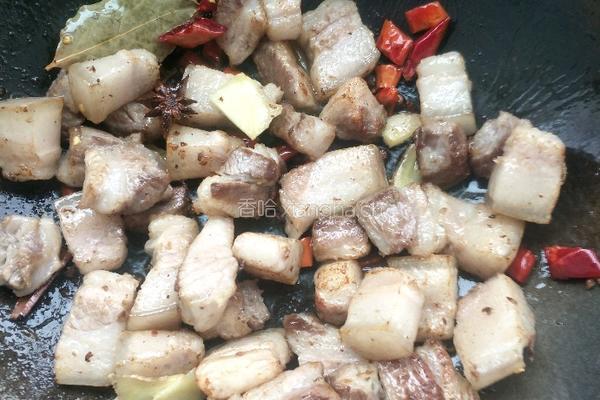 家常红烧肉的做法图解6