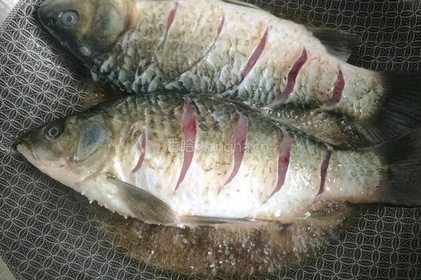 鲫鱼贴饼的做法图解6