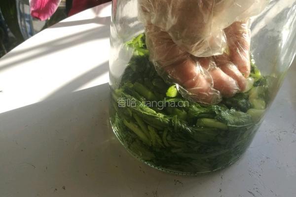 雪里红自制的做法图解8