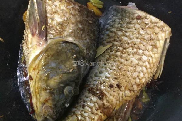独家炖鲤鱼的做法图解5