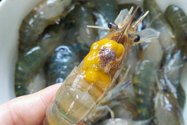红烧沼虾的做法图解3