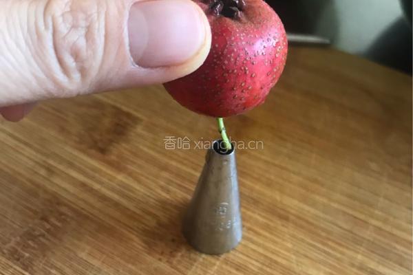 山楂果酱之去核的做法图解2