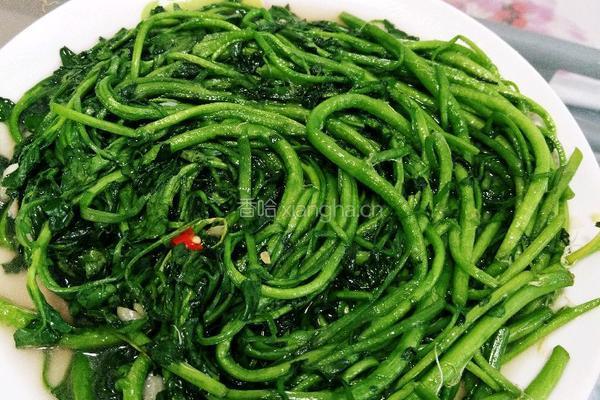 蒜蓉西洋菜的做法图解11