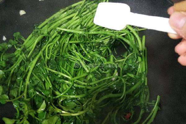 蒜蓉西洋菜的做法图解8
