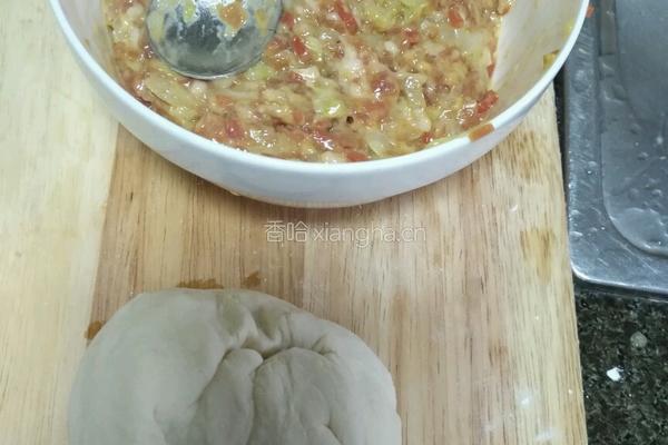 白菜胡萝卜鲜肉包的做法图解6