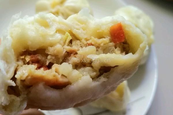 白菜胡萝卜鲜肉包的做法图解11