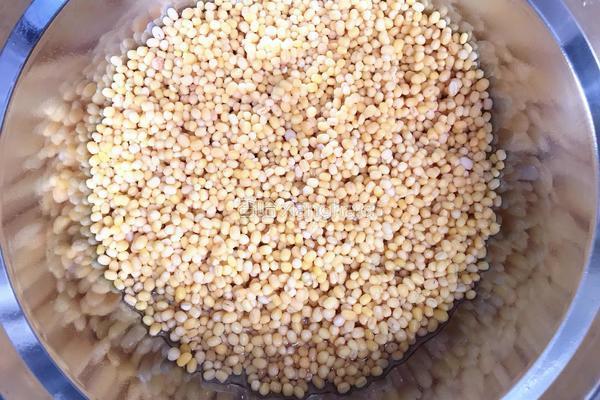 抹茶绿豆糕的做法图解1