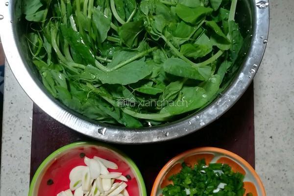 抄豌豆荚的做法图解1