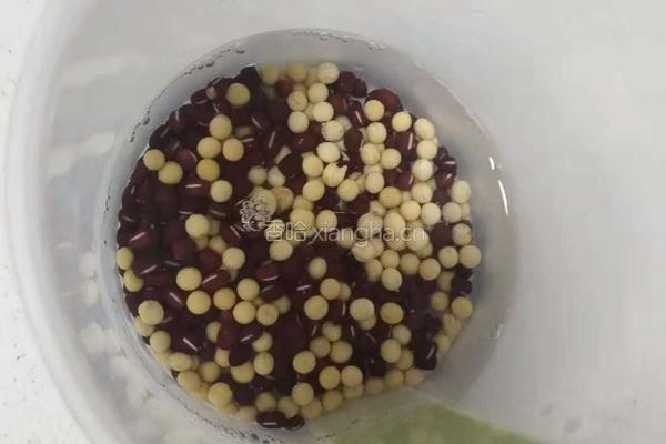 红枣红豆豆浆的做法图解1
