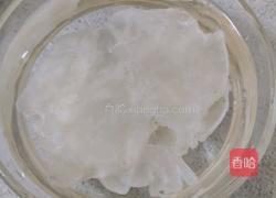 花胶泡发方法纯技术贴(简单易学)的做法图解4