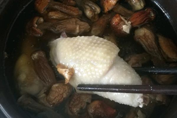 松茸瑶鸡汤的做法图解6