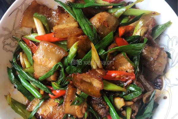 蒜苗回锅肉的做法图解9
