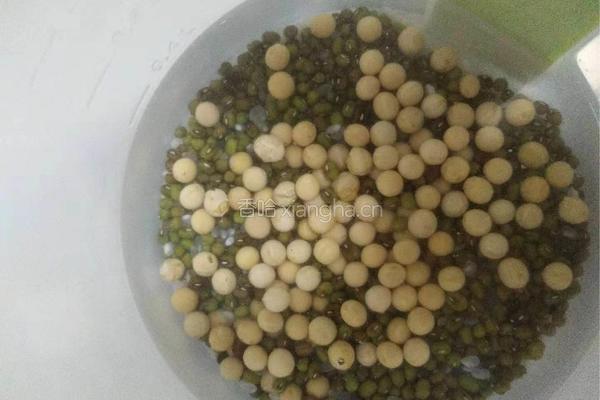 绿豆豆浆的做法图解1