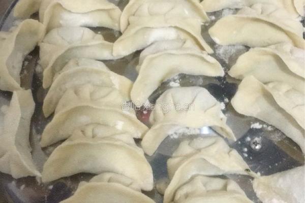 荠菜饺子的做法图解4
