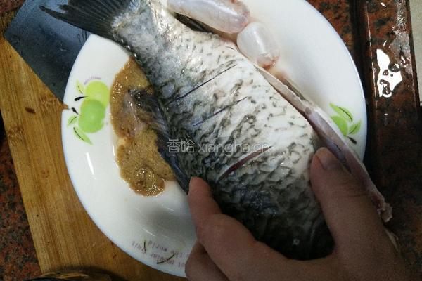 黑豆鲫鱼汤的做法图解4