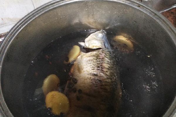 黑豆鲫鱼汤的做法图解13