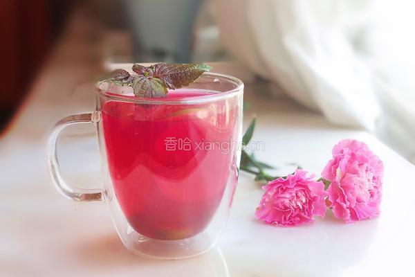紫苏饮的做法图解6
