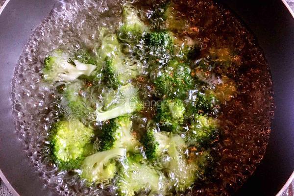 红烧肉的做法图解9