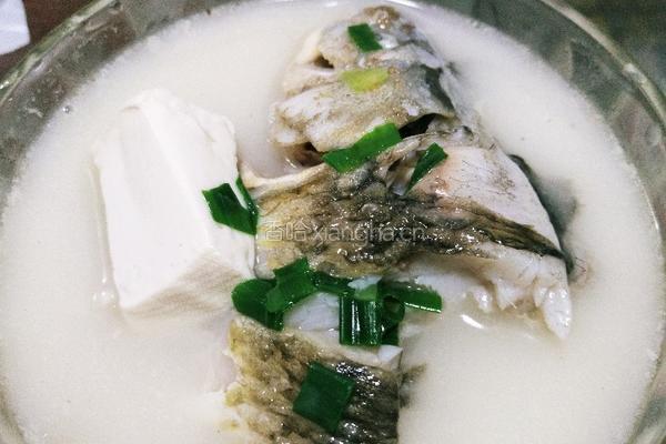 鲫鱼豆腐汤的做法图解15