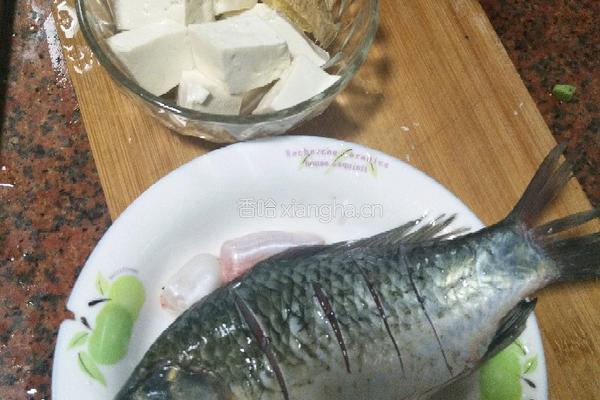鲫鱼豆腐汤的做法图解1