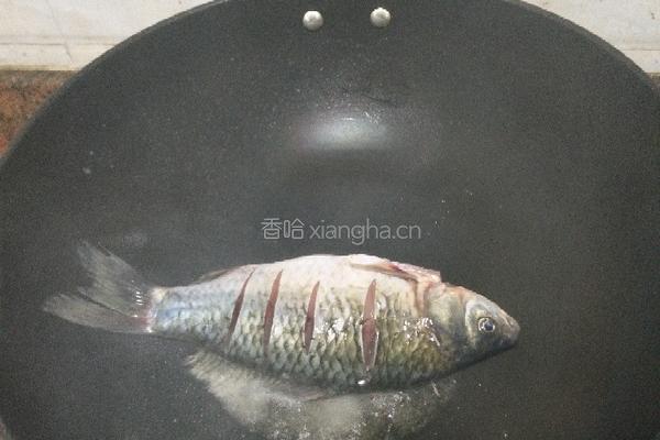 鲫鱼豆腐汤的做法图解4