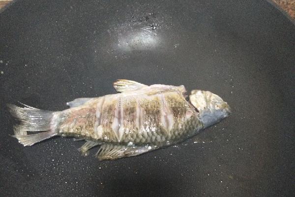鲫鱼豆腐汤的做法图解5
