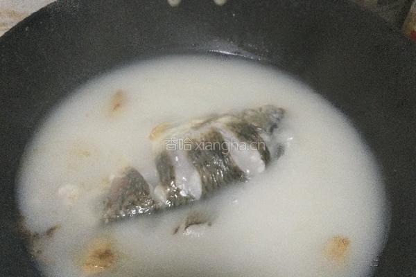 鲫鱼豆腐汤的做法图解10