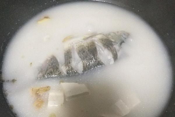 鲫鱼豆腐汤的做法图解11