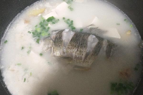 鲫鱼豆腐汤的做法图解13