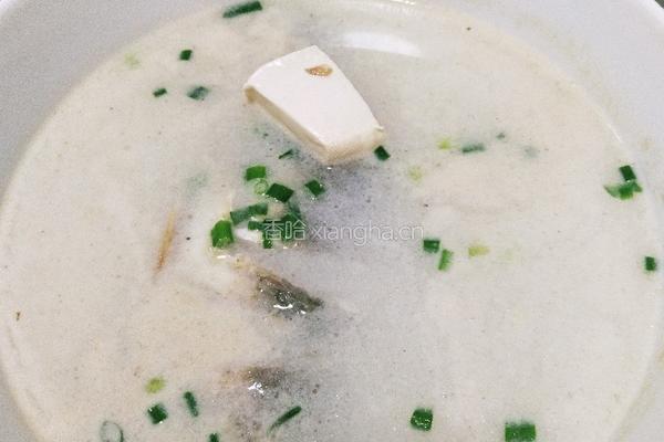 鲫鱼豆腐汤的做法图解14