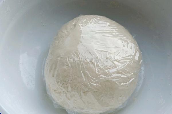羊肉胡萝卜饺子的做法图解1