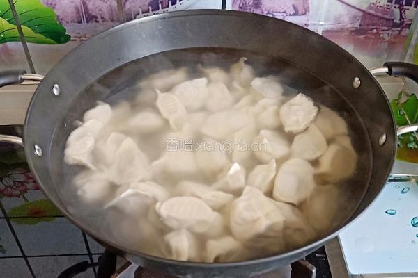 羊肉胡萝卜饺子的做法图解9