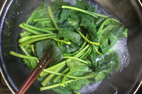 凉拌银耳菠菜粉丝的做法图解4