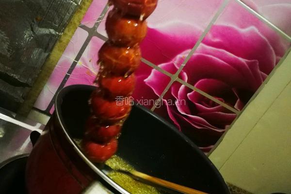 冰糖葫芦的做法图解4