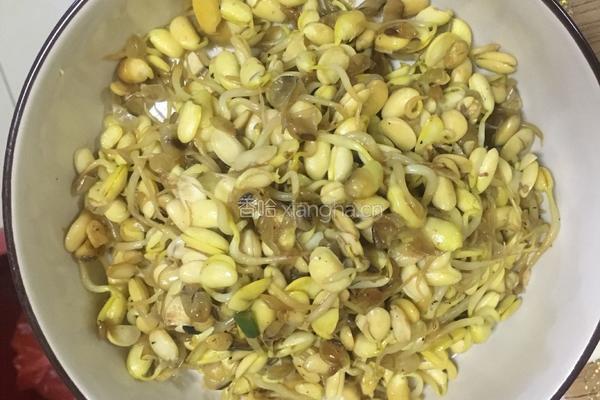 炒黄豆芽的做法图解3