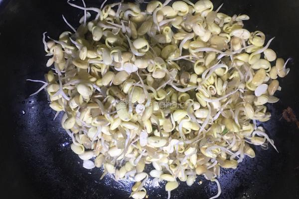 炒黄豆芽的做法图解2