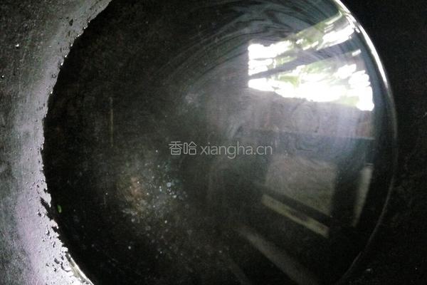腊肉炒四季豆的做法图解5