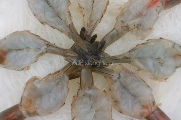 蒜蓉蒸虾的做法图解8