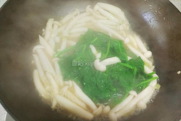 清炒菠菜白玉菇的做法图解5