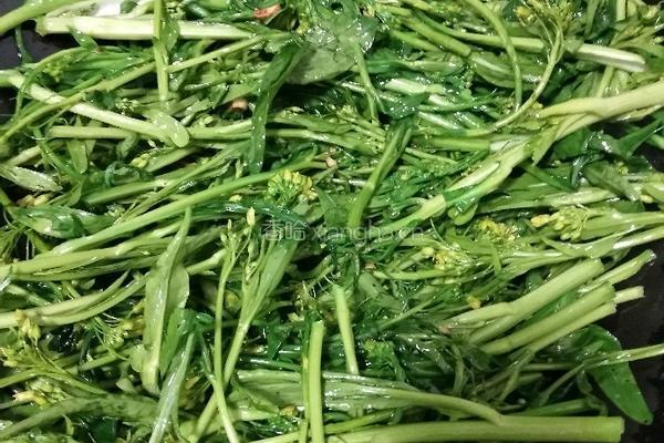 蒜蓉油炒菜花的做法图解5