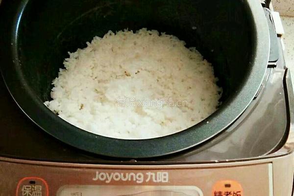 瓢虫饭团的做法图解1