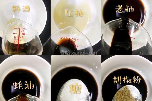 焗鸡之电饭煲版的做法图解5