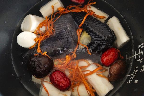 虫草乌鸡汤的做法图解3