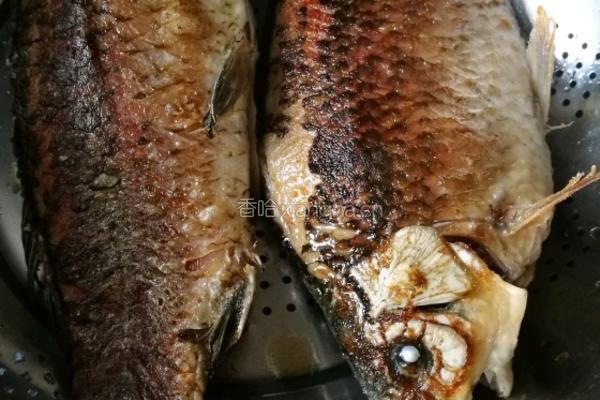 红烧豆腐鲫鱼的做法图解5