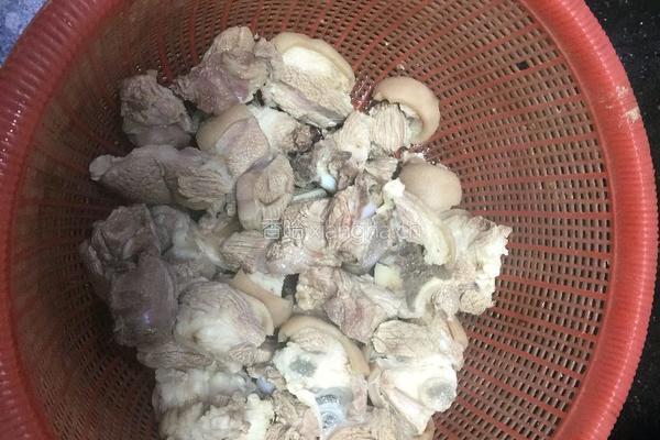 羊肉炖萝卜的做法图解1