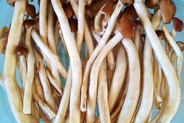 茶树菇炒鸡蛋的做法图解1