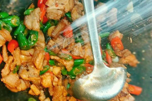 小炒肉的做法图解9