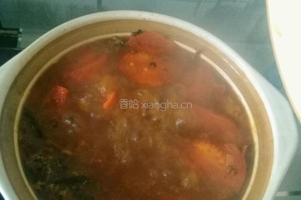 土豆炖牛腩的做法图解14